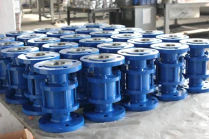 Check valve 5 Check valve