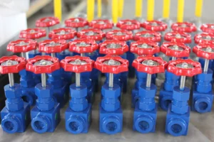 Needle valve 1 Needle valve
