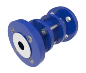 Check valve 1