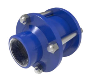 Check valve 2