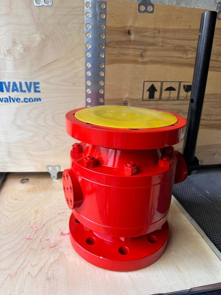 Genuine batu valve api 6d products